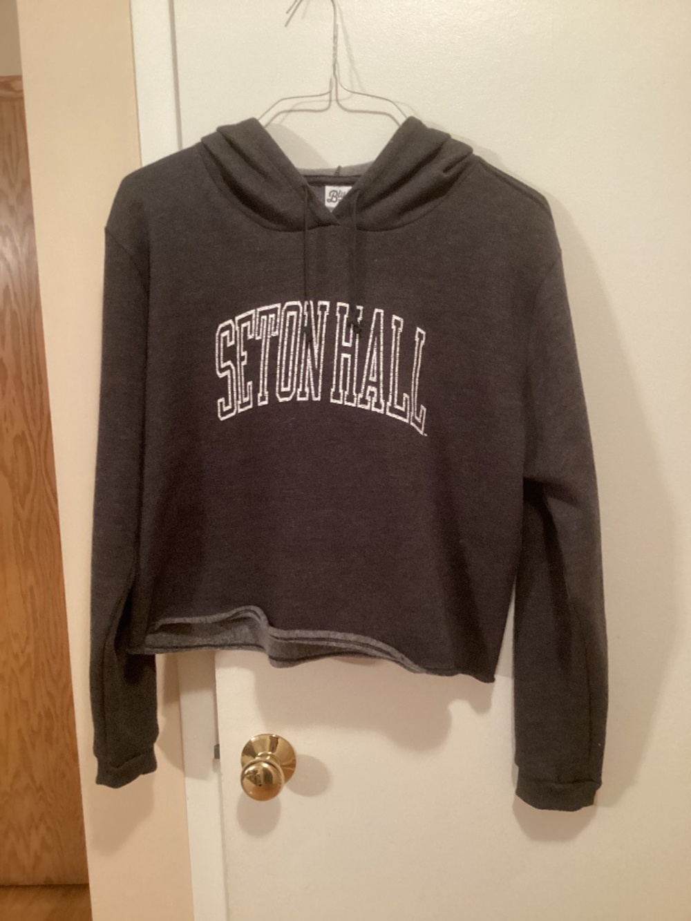 Seton Hall hoodie (XL)